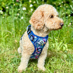 Rugged Rover™ No-Pull Dog Harness – Summer Meadow