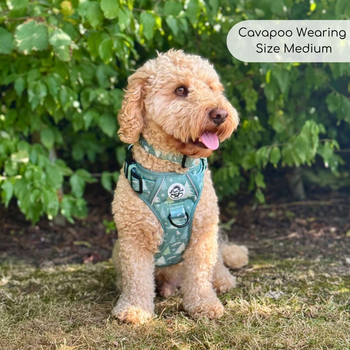 PupClub Rugged Rover Dog Harness – Evergreen Trails