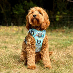Rugged Rover™ No-Pull Dog Harness – Jurassic Party