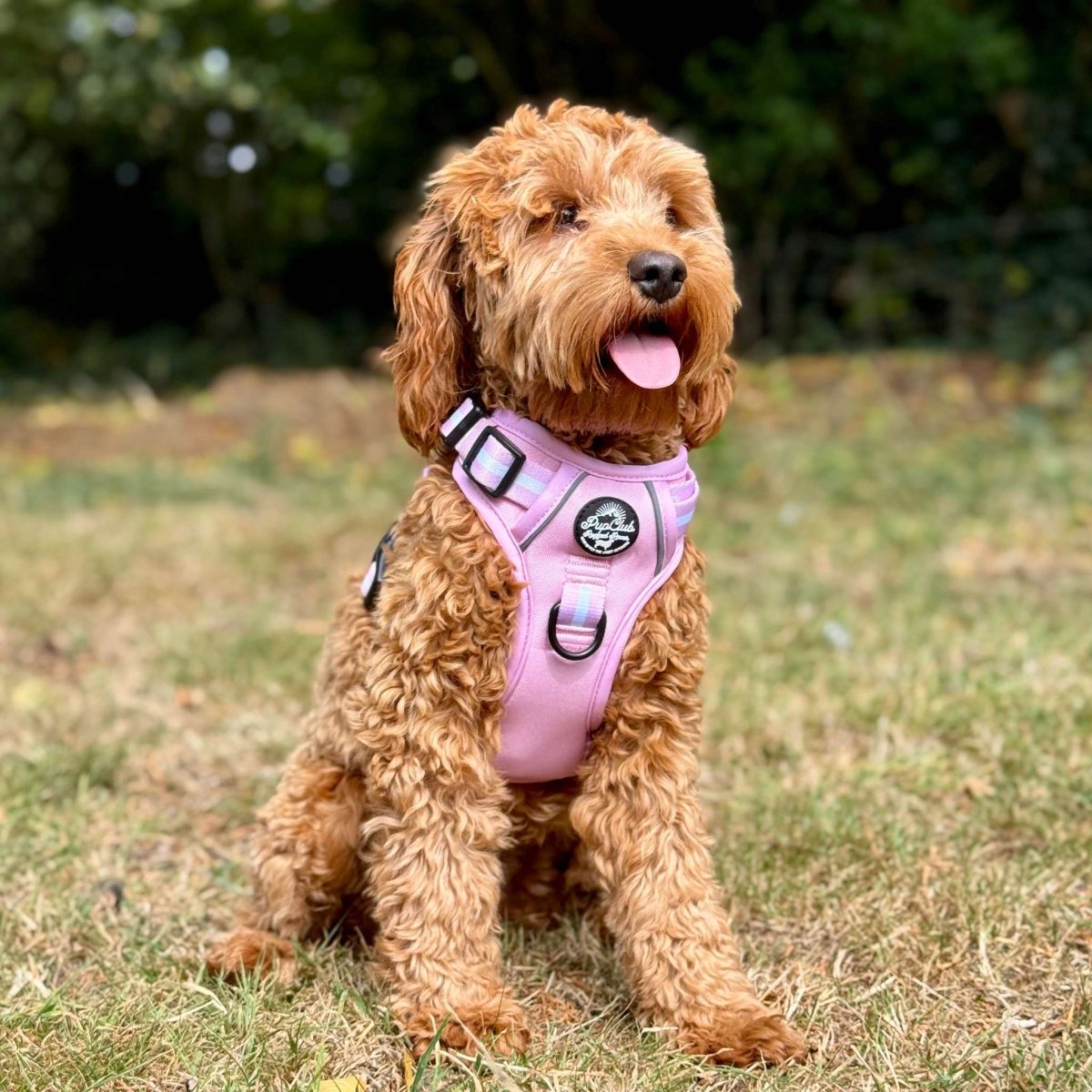 Rugged Rover™ No-Pull Dog Harness – Pastel Pink