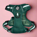 Rugged Rover™ No-Pull Dog Harness – Forest Green