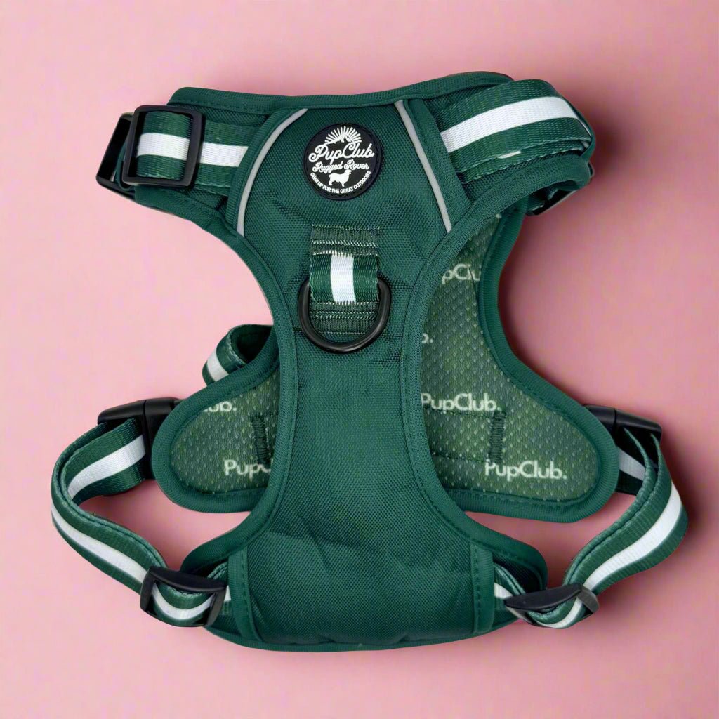 Rugged Rover™ No-Pull Dog Harness – Forest Green
