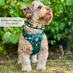 Rugged Rover™ No-Pull Dog Harness – Forest Green