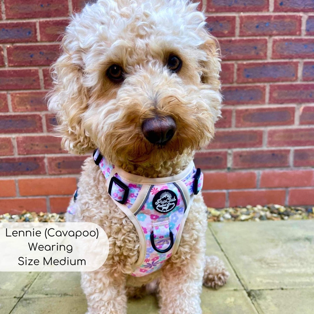 Rugged Rover™ No-Pull Dog Harness – Pretty Petals
