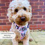 Rugged Rover™ No-Pull Dog Harness – Pretty Petals