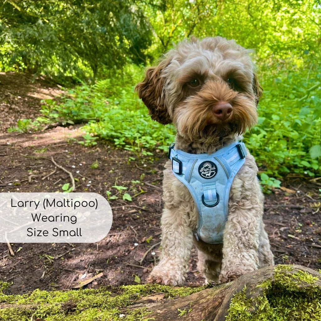 Rugged Rover™ No-Pull Dog Harness – Pastel Blue