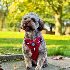 Rugged Rover™ No-Pull Dog Harness – Berry Red