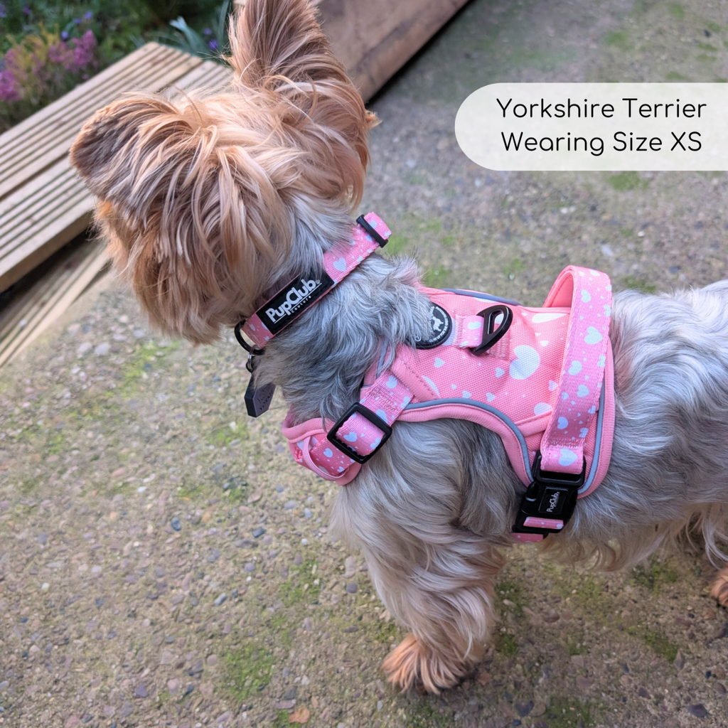 Rugged Rover™ No-Pull Dog Harness – Peachy Hearts