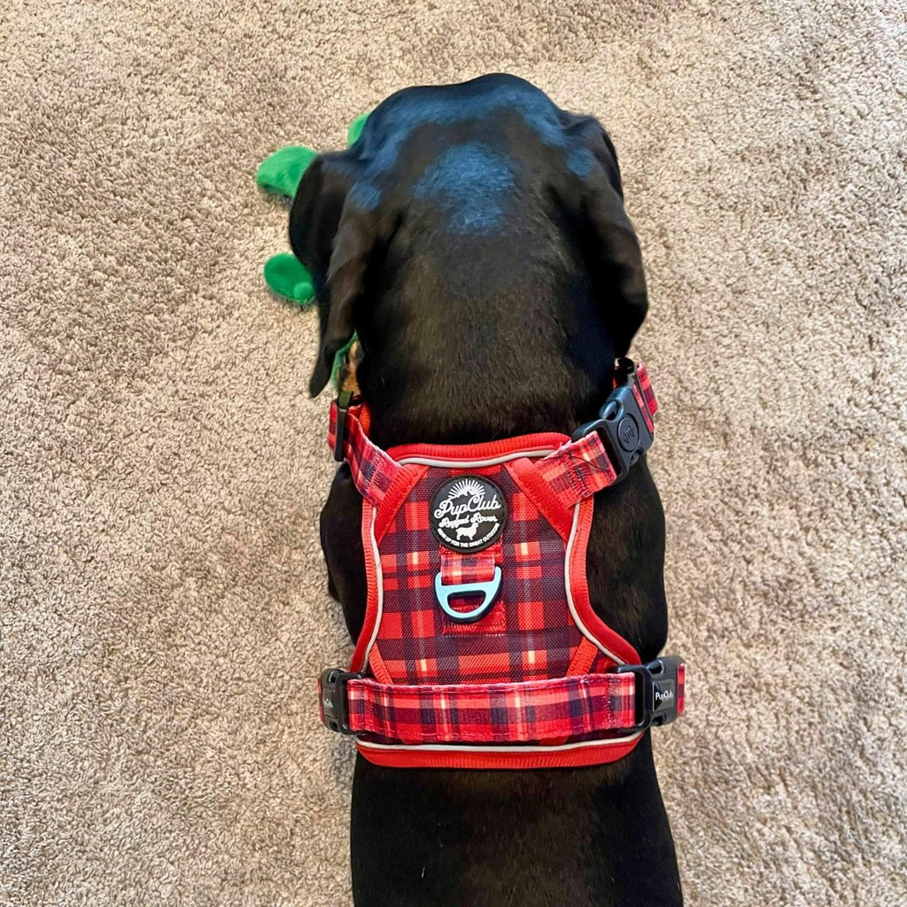 Rugged Rover™ No-Pull Dog Harness – Red Tartan