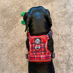 Rugged Rover™ No-Pull Dog Harness – Red Tartan