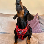 Rugged Rover™ No-Pull Dog Harness – Red Tartan