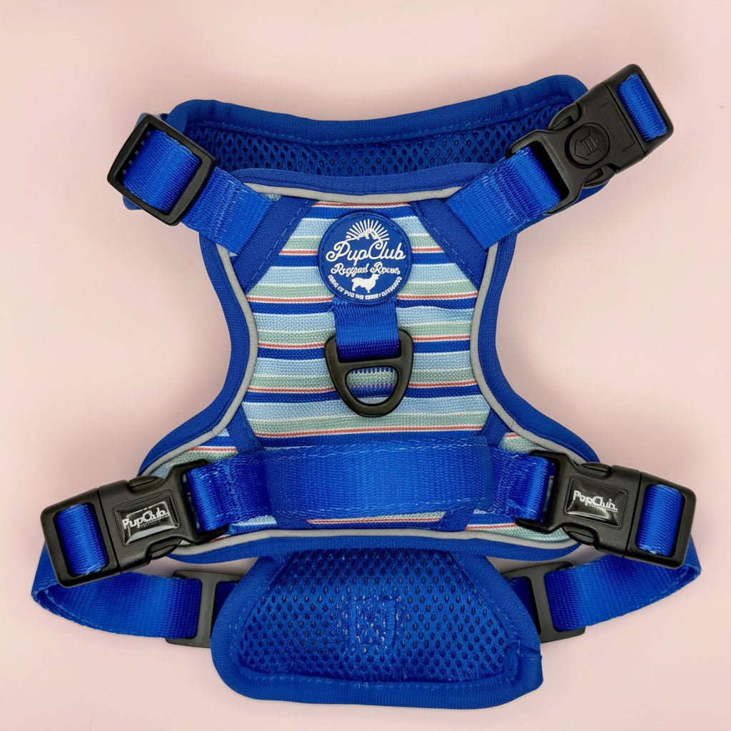 Rugged Rover™ No-Pull Dog Harness – Sea Breeze Stripes