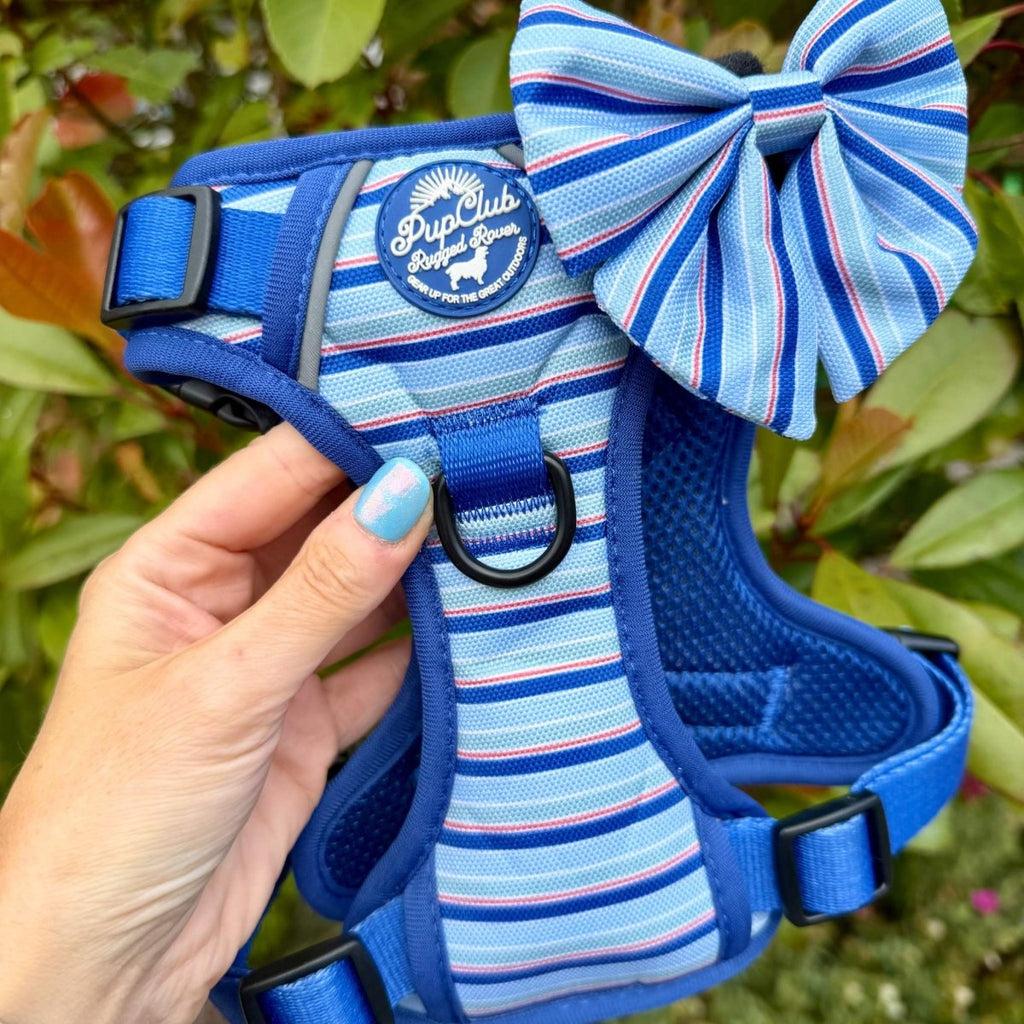 Rugged Rover™ No-Pull Dog Harness – Sea Breeze Stripes