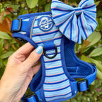 Rugged Rover™ No-Pull Dog Harness – Sea Breeze Stripes