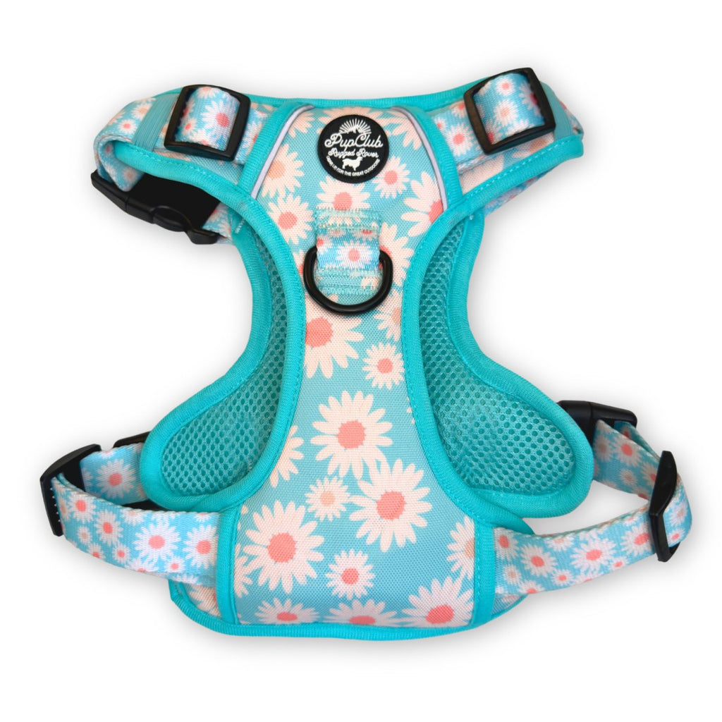 Rugged Rover™ No-Pull Dog Harness – Pastel Daisy