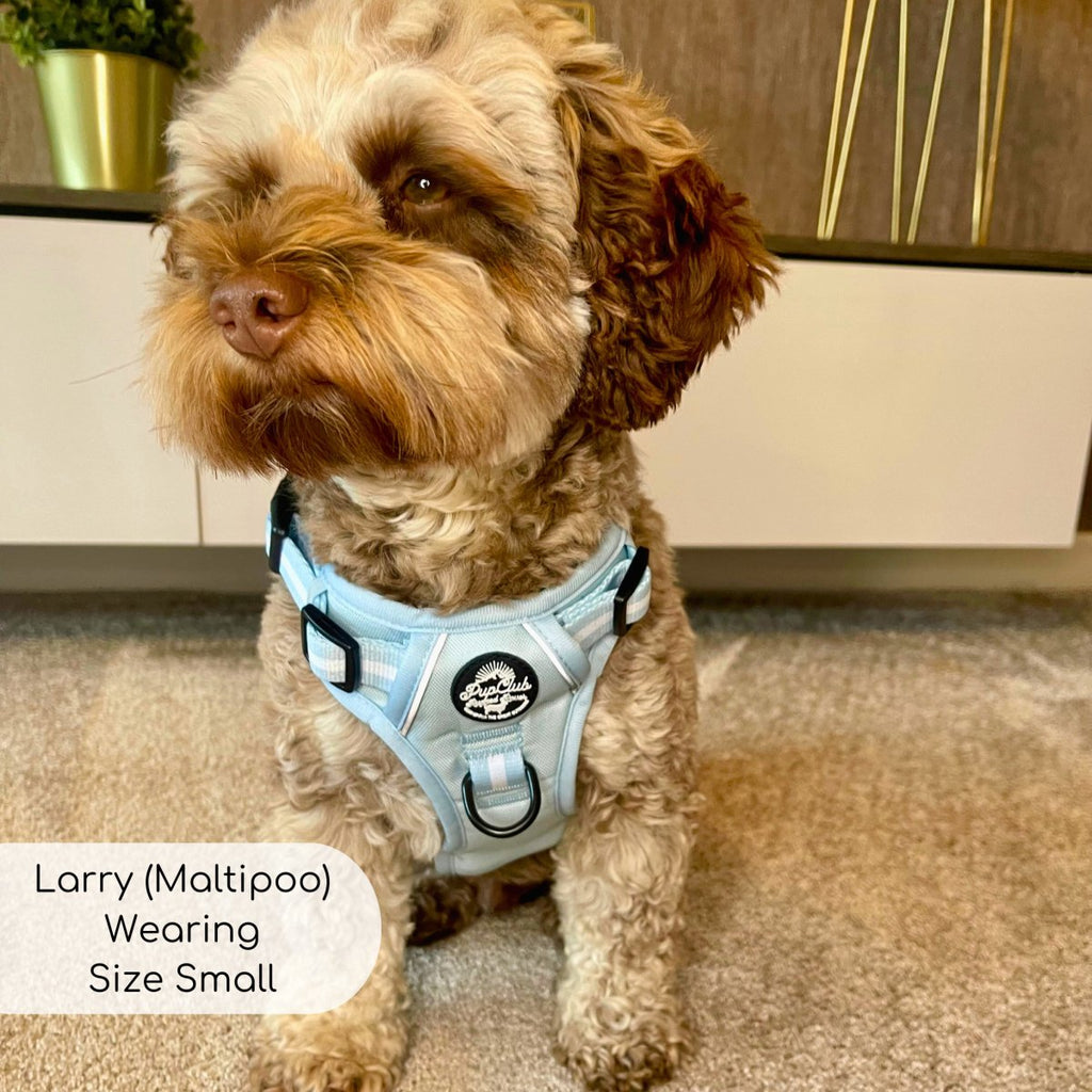 Rugged Rover™ No-Pull Dog Harness – Pastel Blue